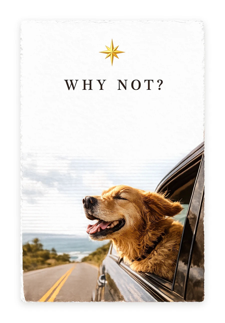 WHY NOT — on white handmade paper