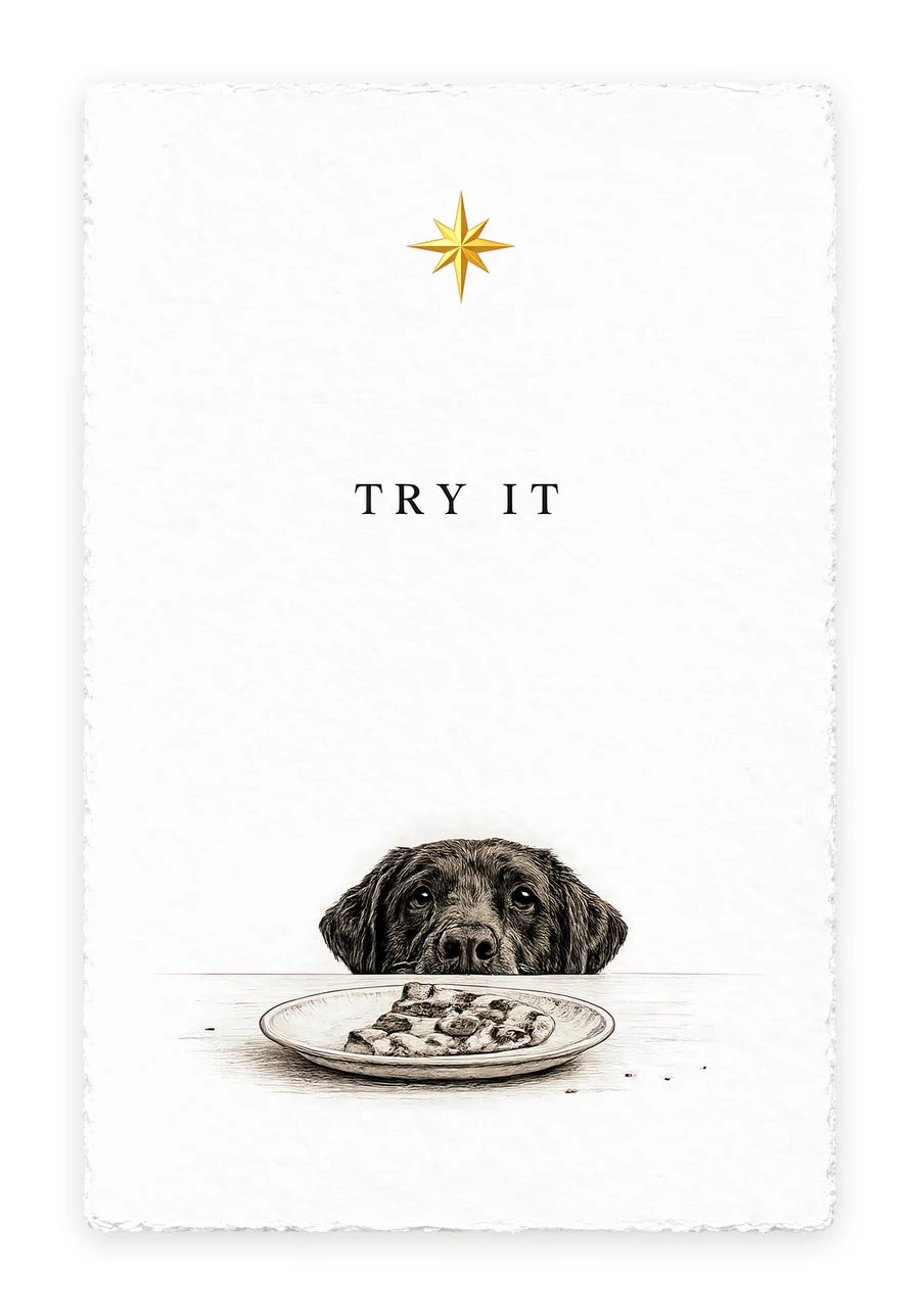 TRY IT — on white handmade paper — full view