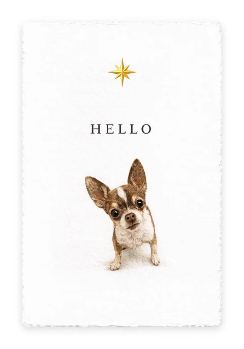 HELLO One-Liner card