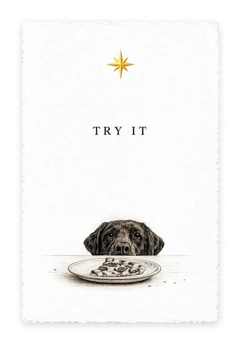 TRY IT One-Liner card